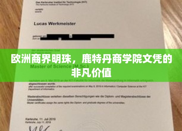 鹿特丹商学院，欧洲商界璀璨明珠，成就非凡职业未来