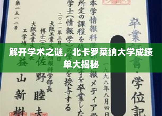 探寻北卡罗莱纳大学成绩单背后的学术奥秘