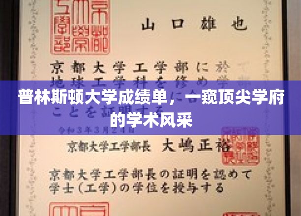 普林斯顿高材生成绩单揭秘，顶尖学府学术魅力全解析