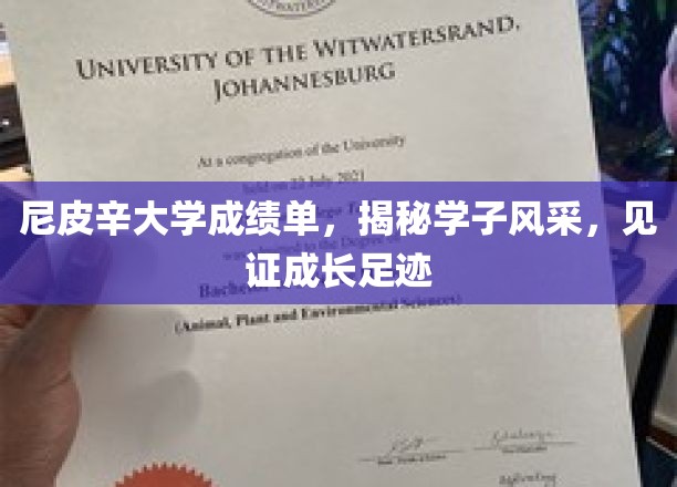 尼皮辛大学成绩单映照青春足迹，学子风采展成长蜕变