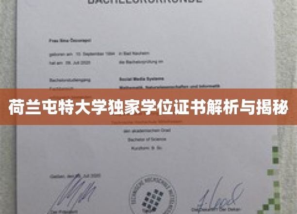 荷兰屯特大学学位证书的神秘面纱，揭秘其独特魅力与价值