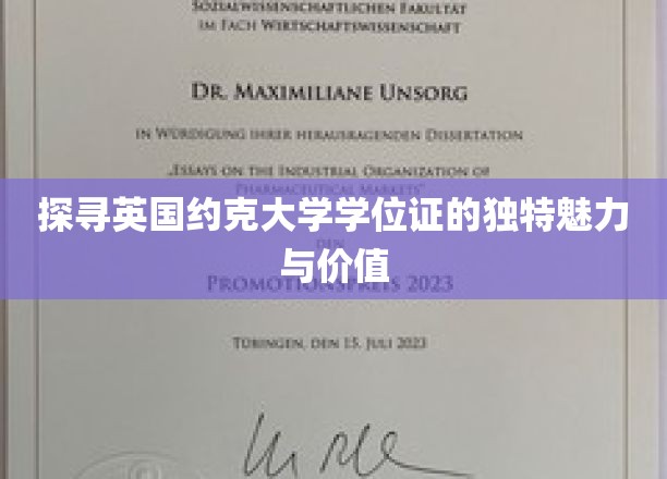 揭秘约克大学学位证的神秘光环与珍贵内涵