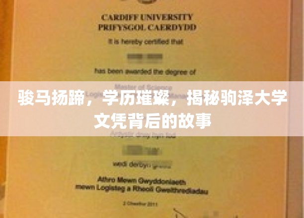 骏马奔腾，硕果累累，探寻驹泽大学文凭的辉煌历程