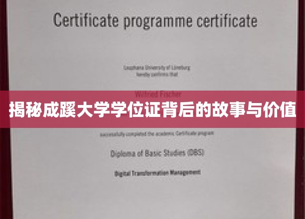 揭秘成蹊大学学位证背后的故事与价值