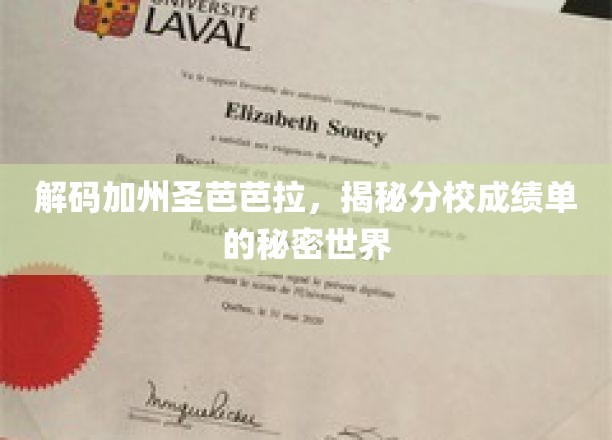 揭开圣芭芭拉分校卓越成绩背后的神秘面纱