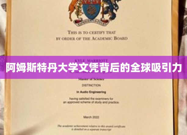 阿姆斯特丹大学文凭背后的全球吸引力