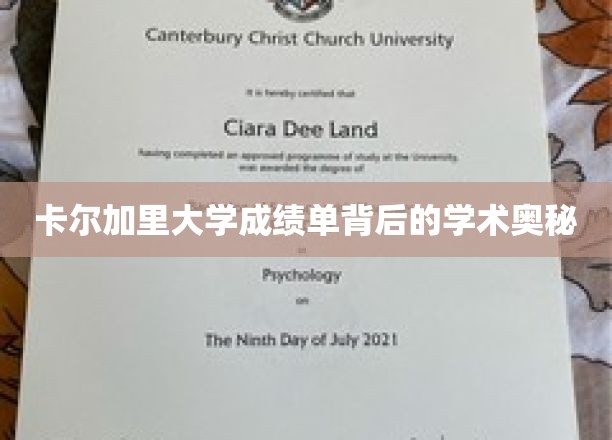 卡尔加里大学成绩单背后的学术奥秘