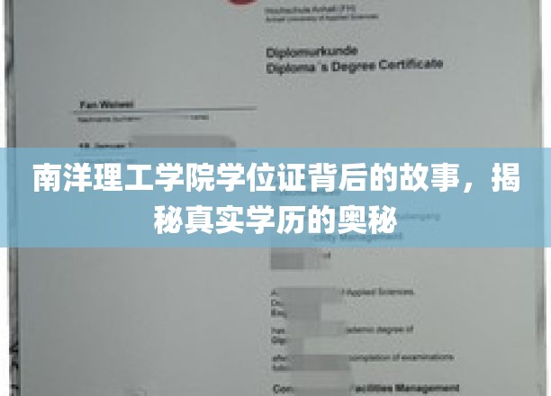 揭开南洋理工学院学位证之谜，探寻学历认证的深层秘密