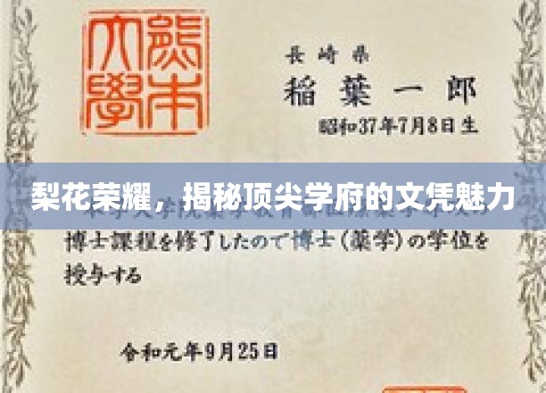 梨花绽放，解码顶尖名校文凭的非凡吸引力