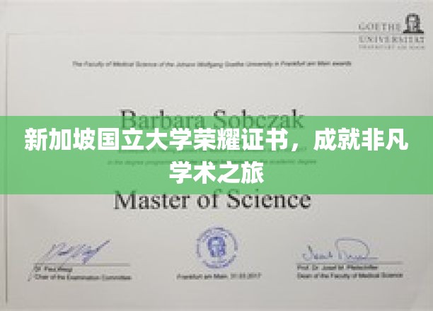 璀璨荣耀，新加坡国立大学铸就卓越学术里程碑
