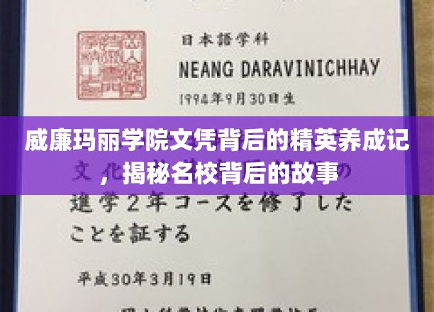 解码威廉玛丽学院，精英摇篮的成长轨迹揭秘