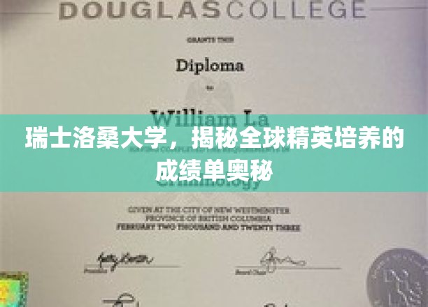 瑞士洛桑大学，揭秘全球精英培养的成绩单奥秘