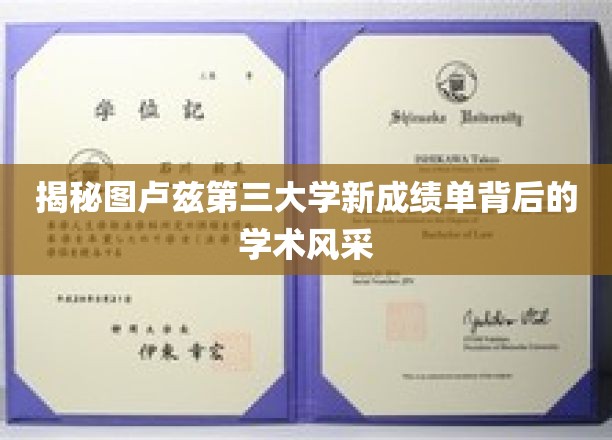 解码图卢兹第三大学新成绩单，学术新颜惊艳揭晓