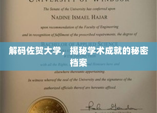 探寻佐贺大学，揭秘学术精英的辉煌足迹
