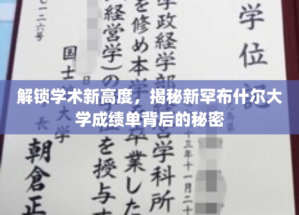 解锁学术新高度，一探究竟新罕布什尔大学成绩单的奥秘
