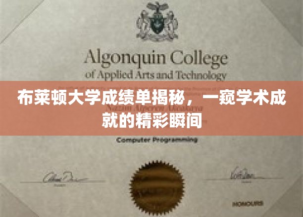 布莱顿大学成绩单揭秘，一窥学术成就的精彩瞬间