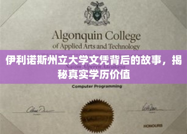 伊利诺斯州立大学文凭真相探秘，学历价值几何？