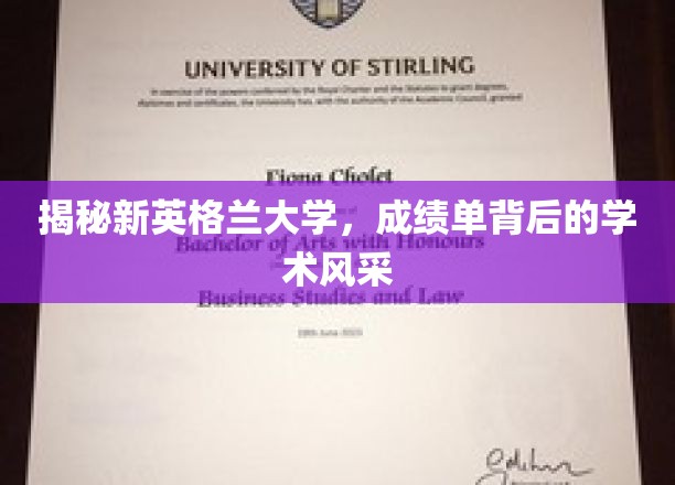 解码新英格兰大学，揭秘成绩单下的学术魅力