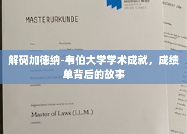 揭开加德纳-韦伯大学卓越背后的学术传奇