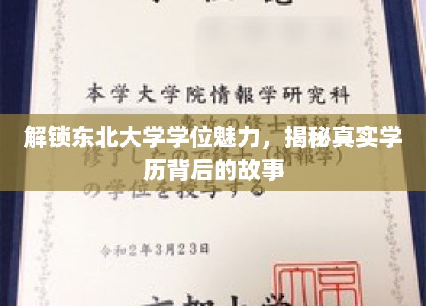 东北大学学位探秘，一探究竟的学历传奇之旅