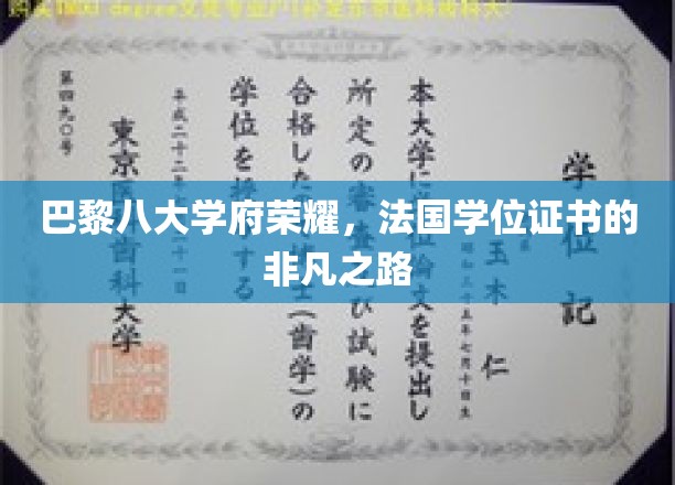 巴黎八大学府荣耀，法国学位证书的非凡之路