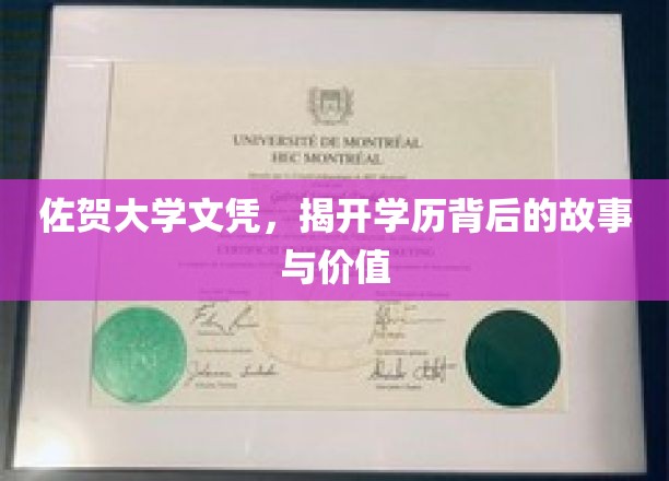 佐贺大学文凭，探寻学历背后的传奇与深层价值