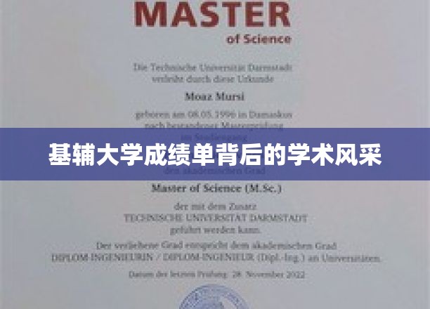 探寻基辅大学成绩单背后的璀璨学术魅力
