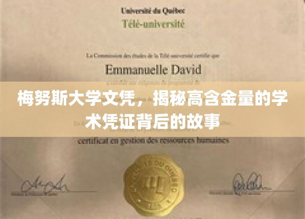 探寻梅努斯大学文凭，揭秘高价值学历背后的辉煌历程