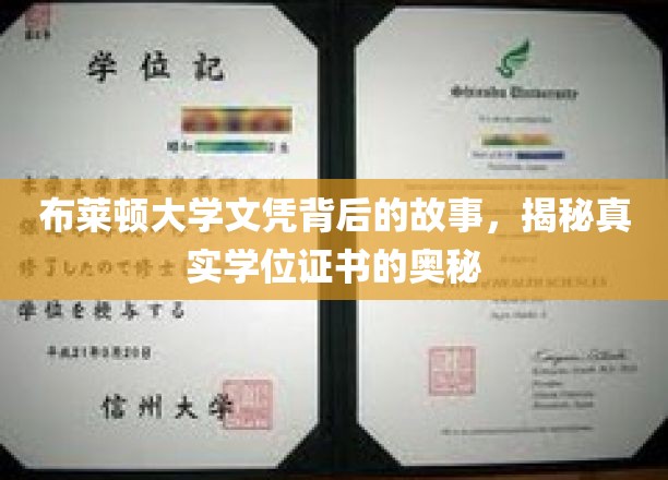 布莱顿大学文凭背后的故事，揭秘真实学位证书的奥秘