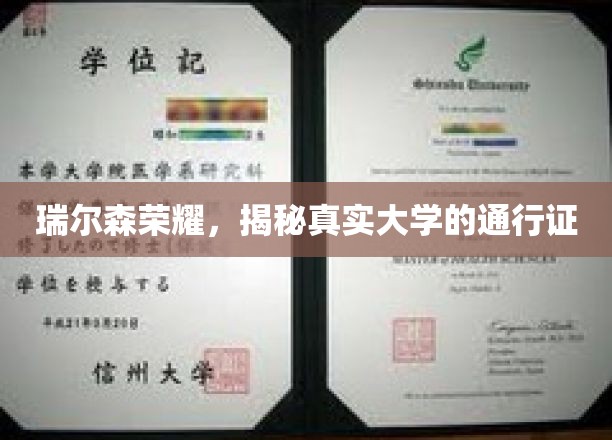 瑞尔森荣耀，揭秘真实大学的通行证