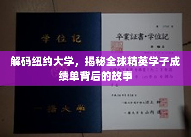 探寻纽约大学，揭秘世界精英学子成绩单背后的传奇经历