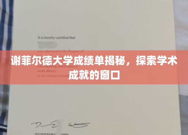 谢菲尔德大学成绩单揭秘，探索学术成就的窗口