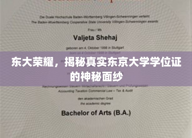 东大荣耀，揭开真实东京大学学位证的神秘面纱