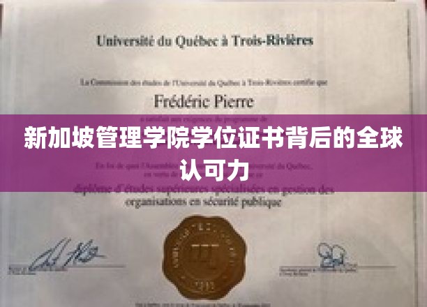 新加坡管理学院学位证书背后的全球认可力