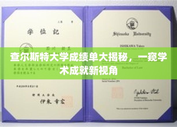 解码查尔斯特大学学术成就，成绩单背后的秘密视角