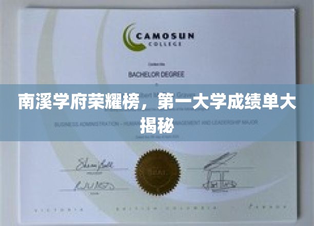南溪学府荣耀榜，第一大学成绩单大揭秘