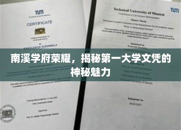 南溪学府独领风骚，探寻顶尖文凭的非凡吸引力