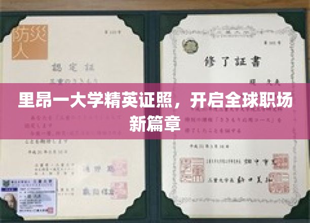 里昂大学精英凭证，引领国际职场新潮流