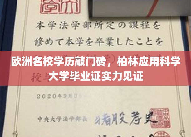 欧洲精英学府通行证，柏林应用科学大学学位彰显实力与价值