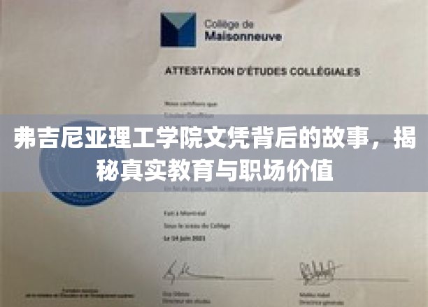 解码弗吉尼亚理工学院文凭，揭秘教育与职场的双重价值密码