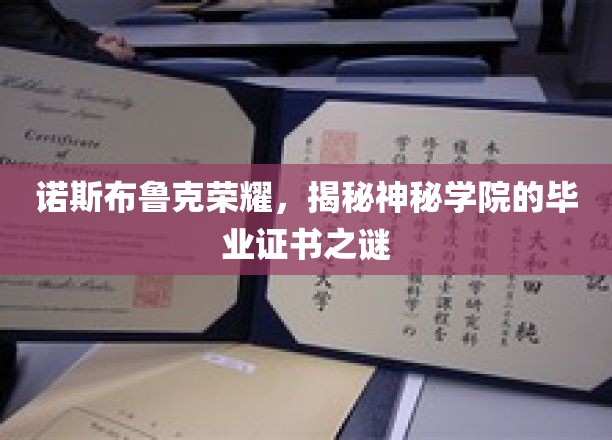 诺斯布鲁克荣耀，揭秘神秘学院的毕业证书之谜