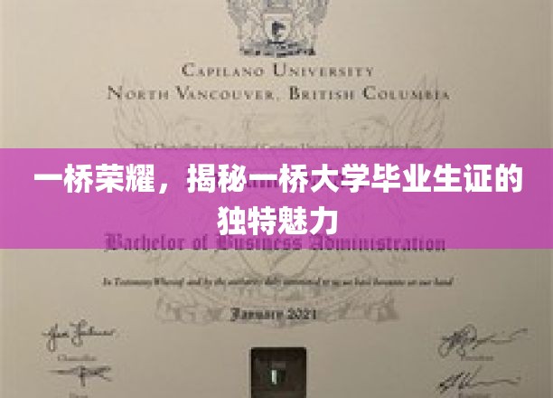 一桥荣耀，一探究竟一桥大学毕业生证的独特魅力