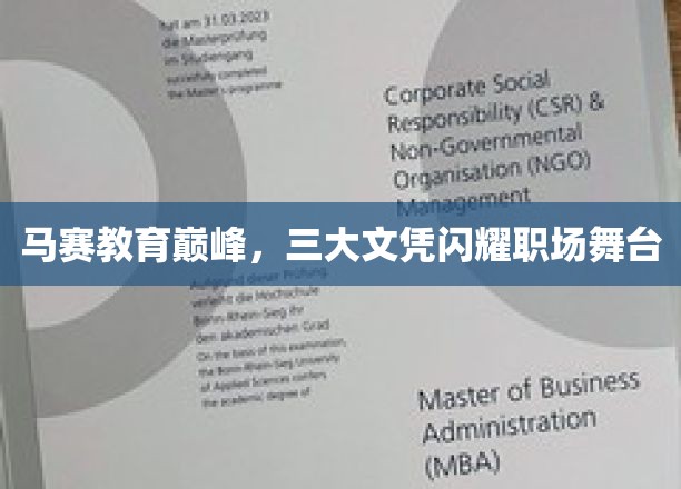 马赛教育荣耀巅峰，三大国际文凭助你职场星光熠熠
