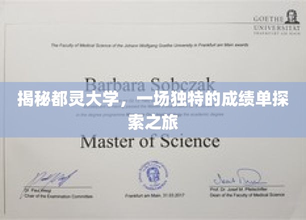 探索都灵大学，一场独特的成绩单之旅