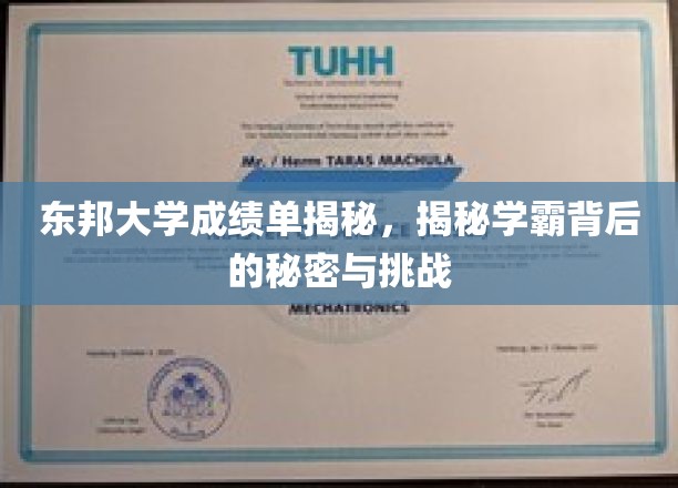 东北大学成绩单揭秘，揭示学霸背后的秘密与挑战