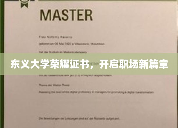 东义荣耀证书，助力学子职场梦想启航