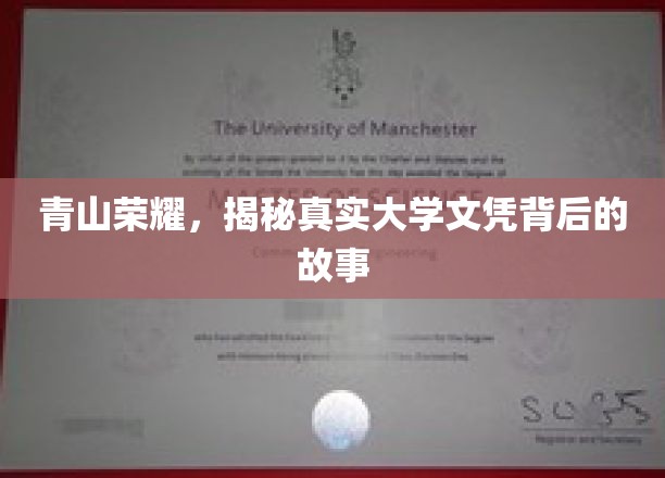 学历光环背后的真实轨迹，揭秘高校文凭背后的不为人知故事