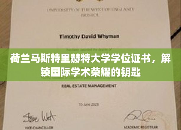荷兰马斯特里赫特大学学位，开启全球学术殿堂的璀璨之门