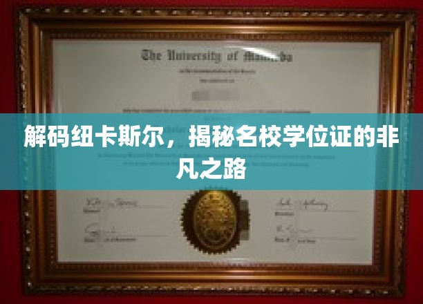 解码纽卡斯尔，揭秘名校学位证的非凡之路
