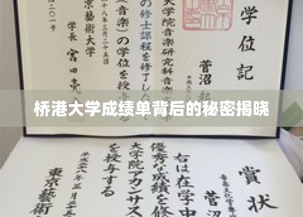 揭开桥港大学成绩单背后神秘面纱的真相！